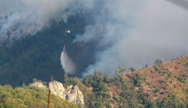 FHN-in helikopteri Gürcüstanda meşə yanğınlarının söndürülməsində iştirak edir
