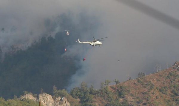 FHN-in helikopteri Gürcüstanda meşə yanğınlarının söndürülməsində iştirak edir