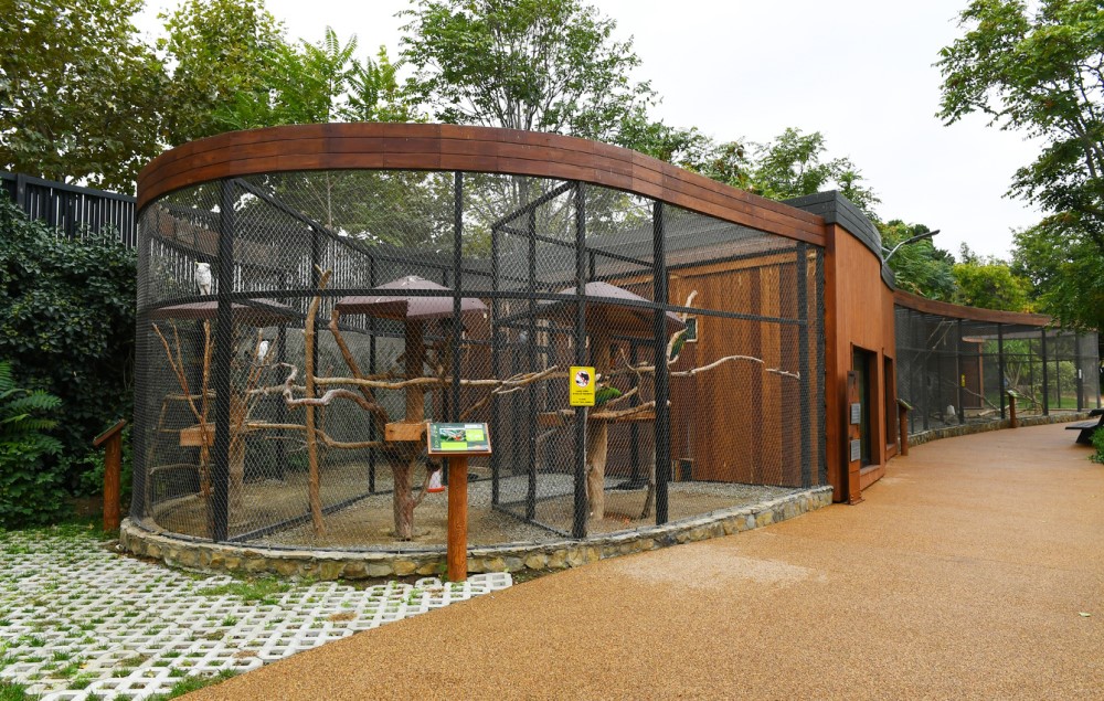 Состоялось Бакинского зоопарка после реконструкции