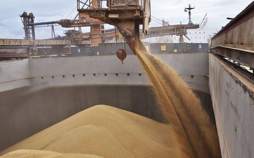 Названы основные направления увеличения производства пшеницы в Азербайджане