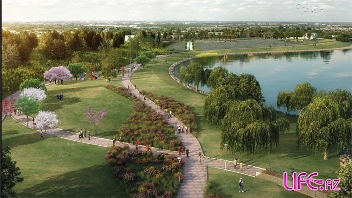 Böyükşor gölü belə olacaq (FOTO)